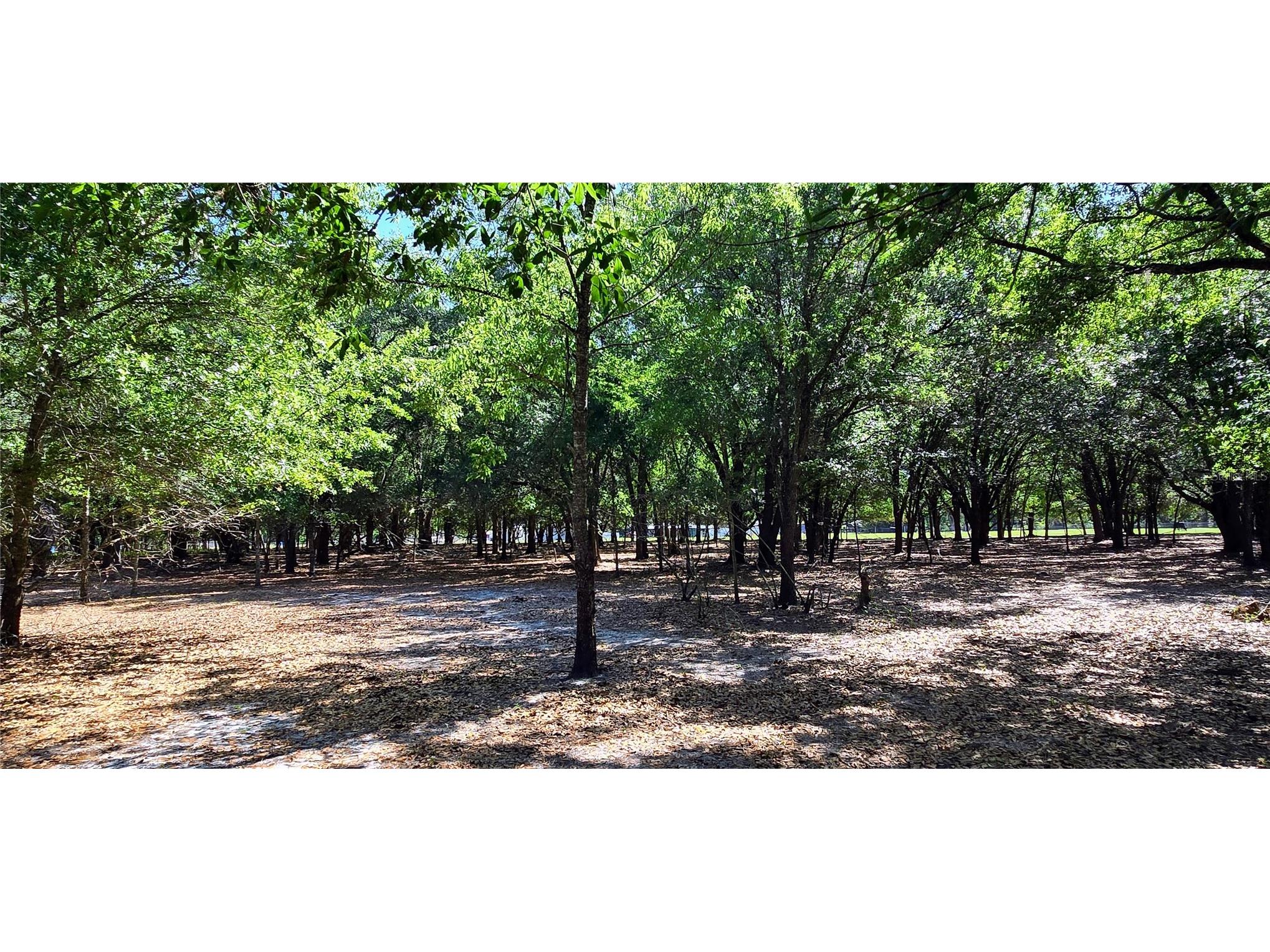 0 Connell Road Plant City FL 33567 TB8502527 image20