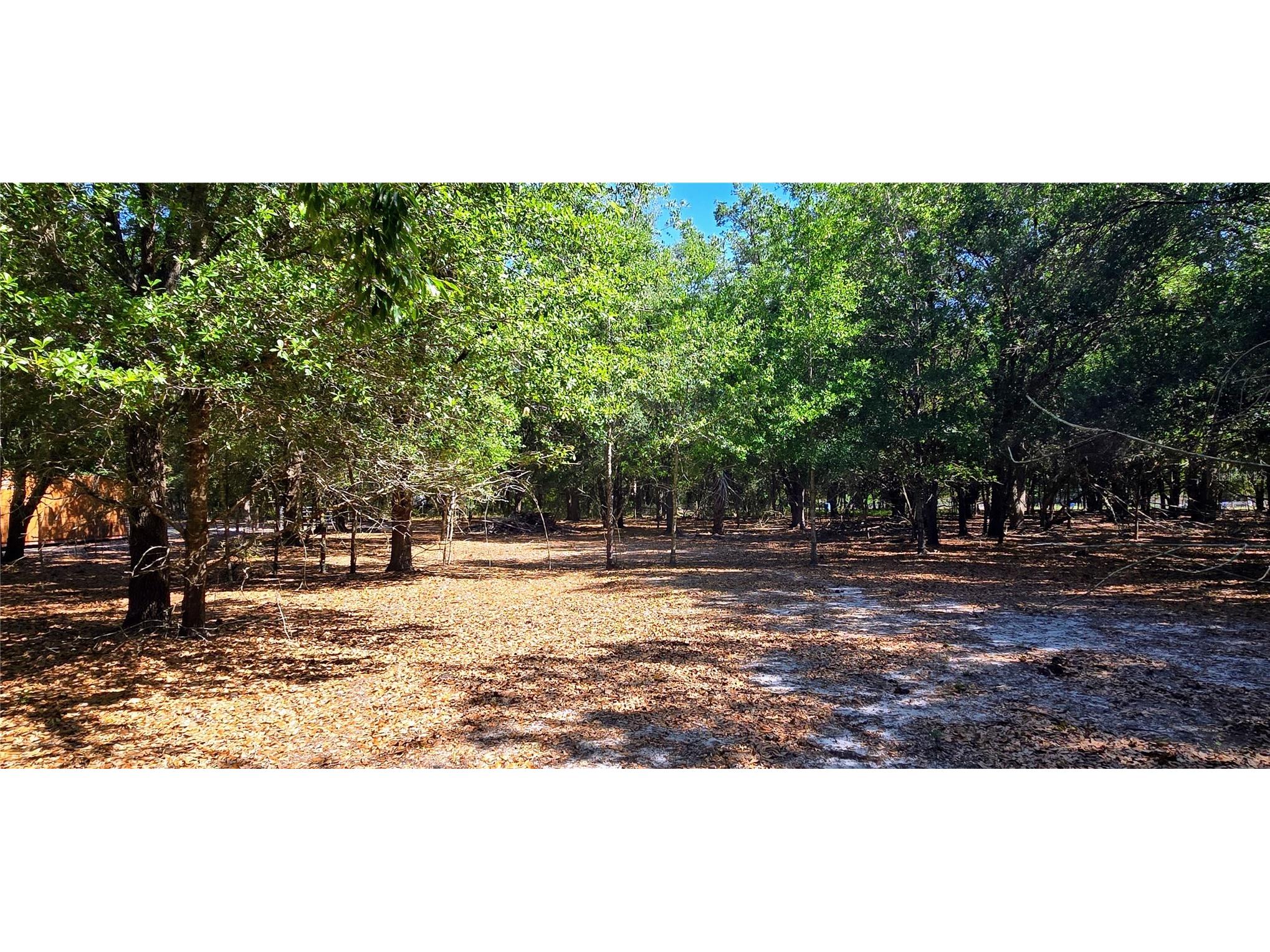 0 Connell Road Plant City FL 33567 TB8502527 image22