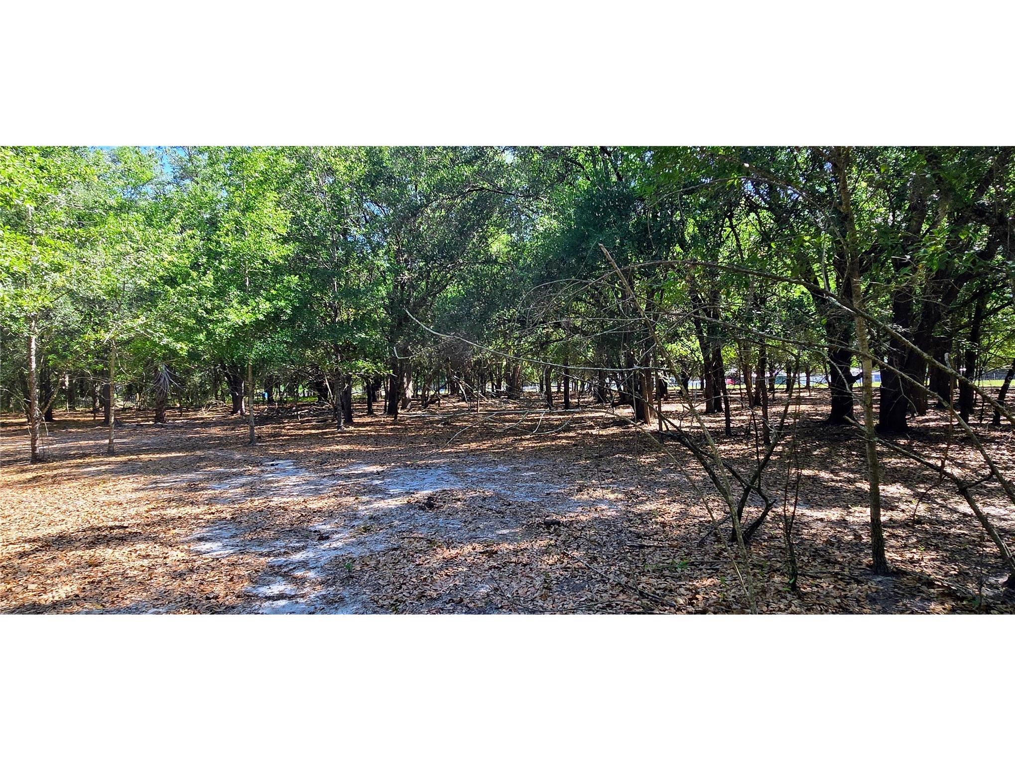 0 Connell Road Plant City FL 33567 TB8502527 image23