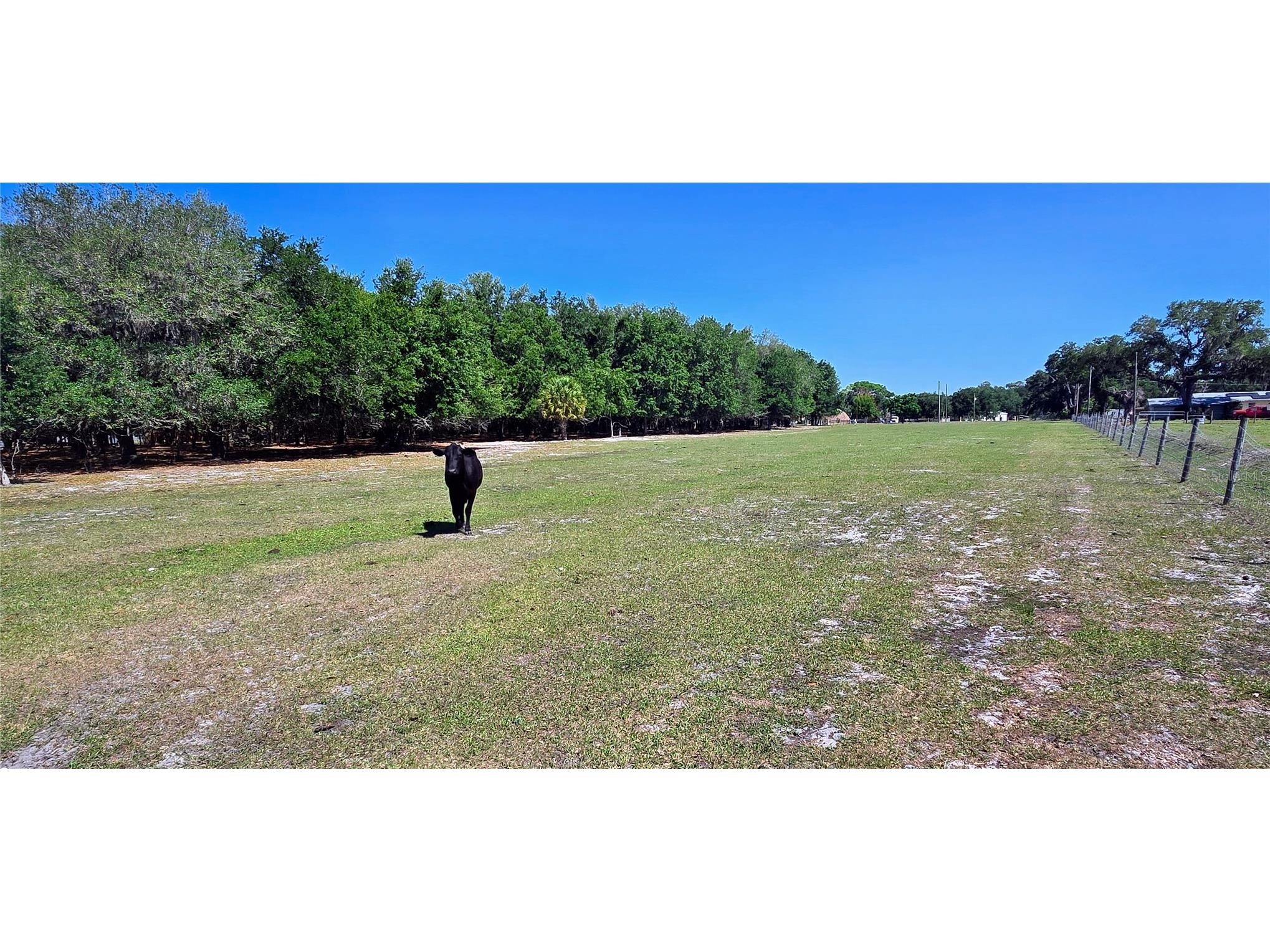 0 Connell Road Plant City FL 33567 TB8502527 image24