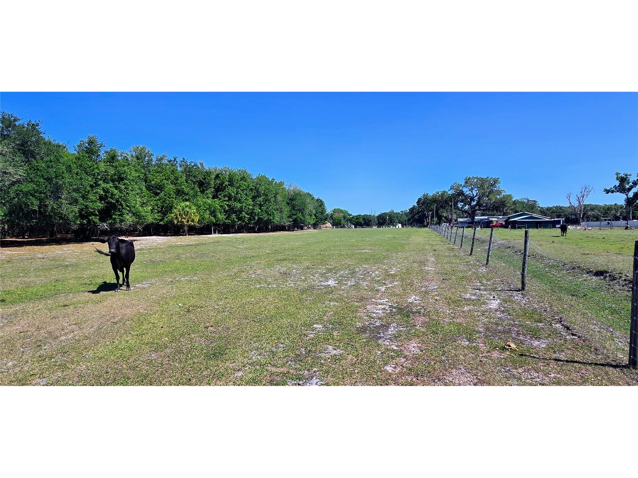 0 Connell Road Plant City FL 33567 TB8502527 image25