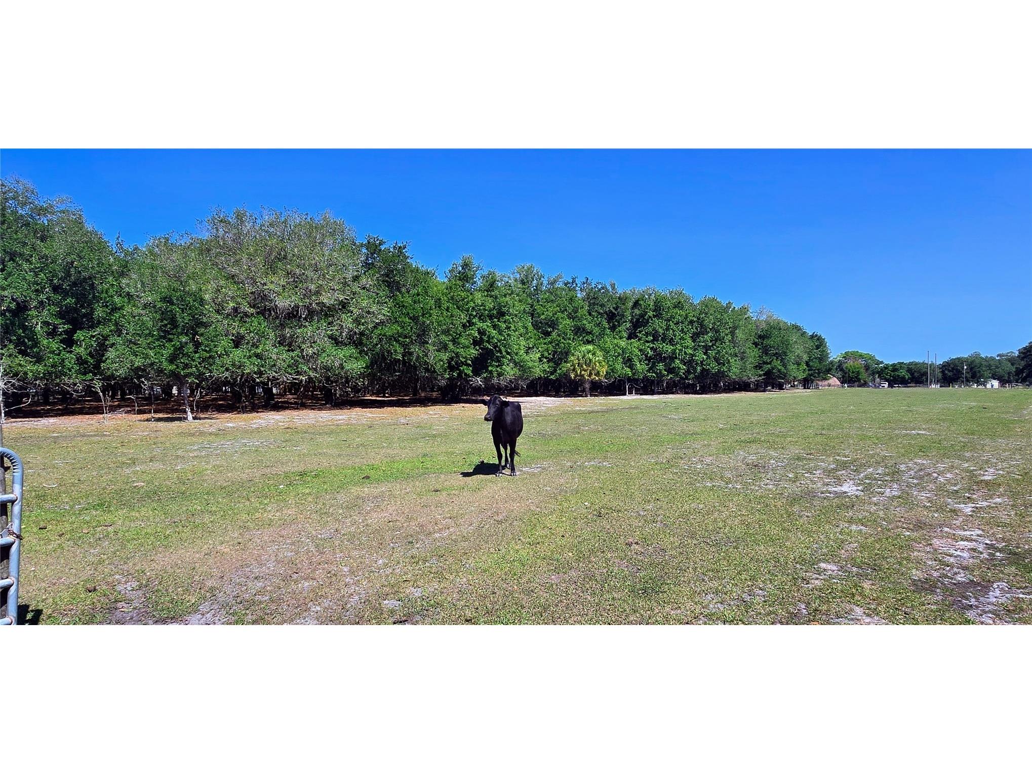 0 Connell Road Plant City FL 33567 TB8502527 image26