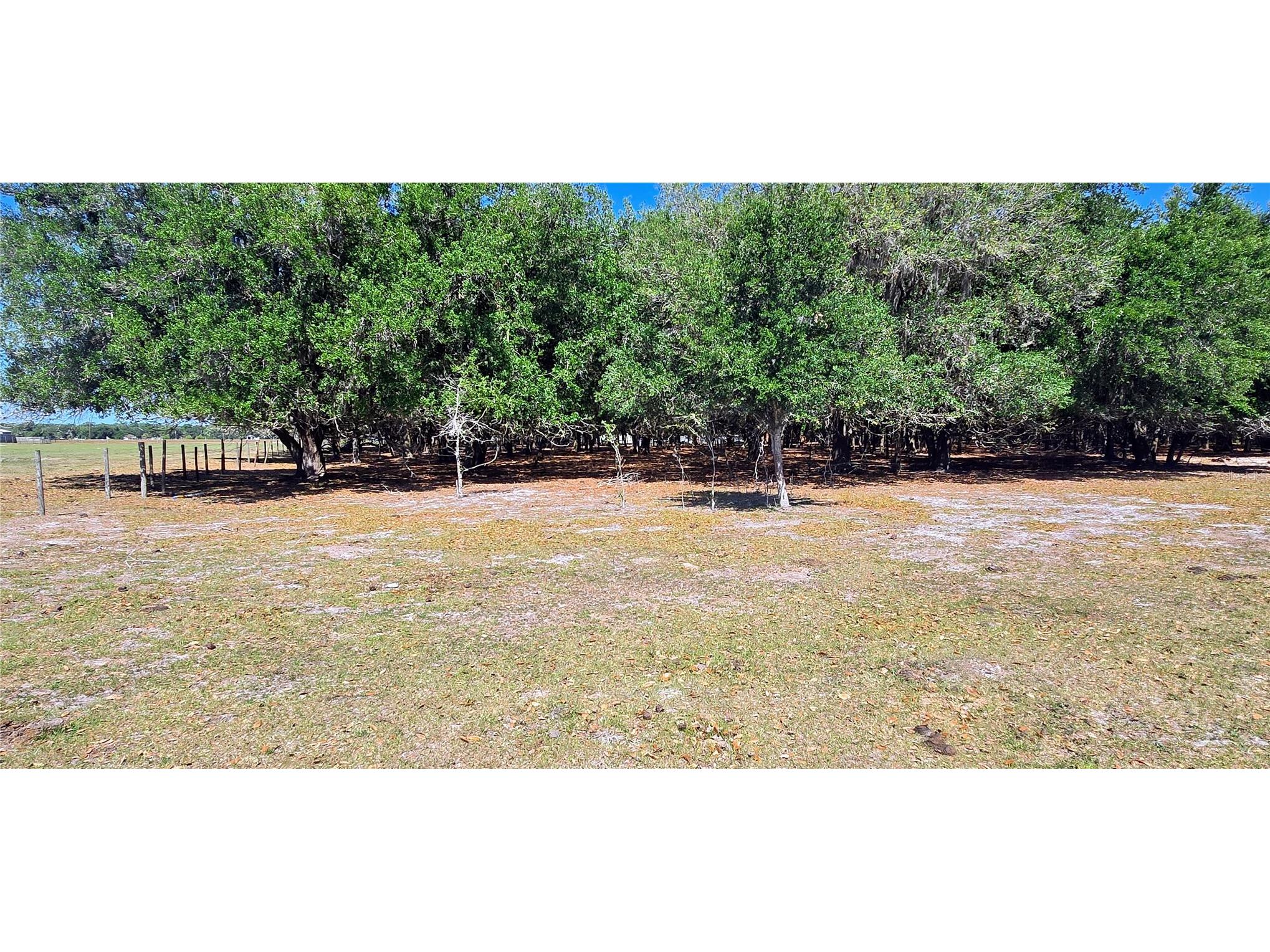 0 Connell Road Plant City FL 33567 TB8502527 image27