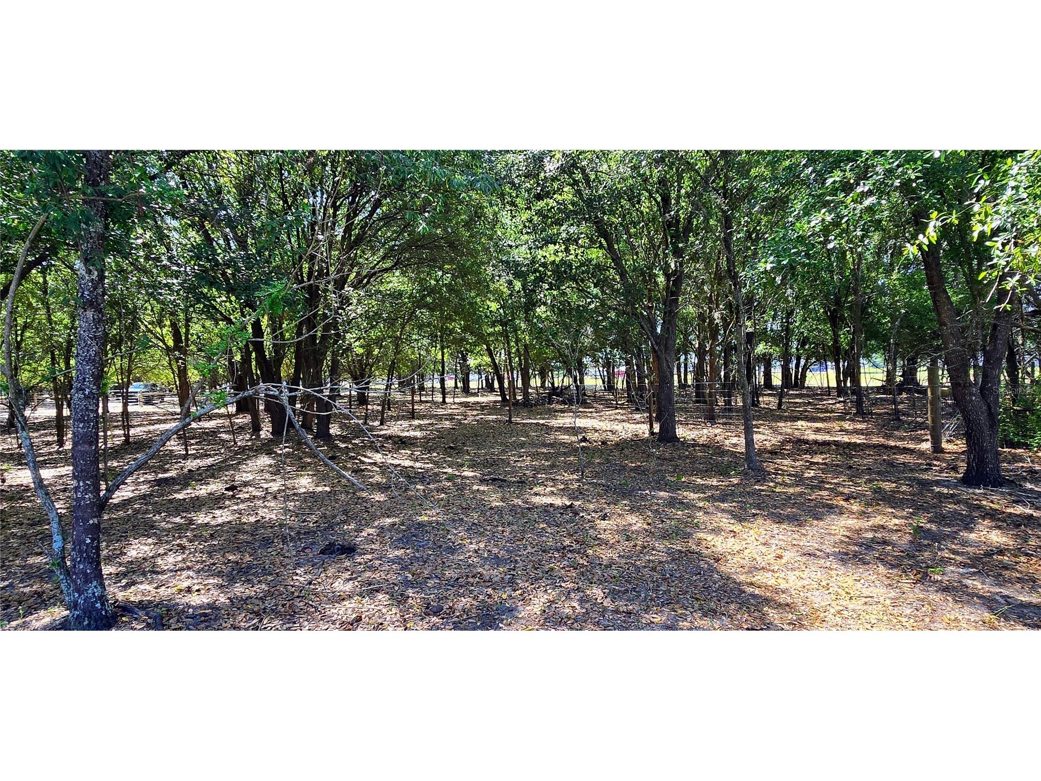 0 Connell Road Plant City FL 33567 TB8502527 image5