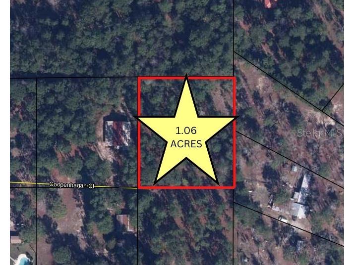 0 Coopenhagan Court Keystone Heights FL 32656 GC509583 image1