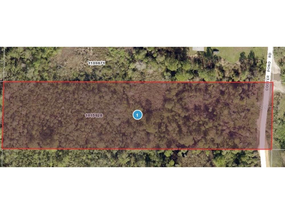 0 Cooter Pond Road Deland FL 32720 O6206758 image1