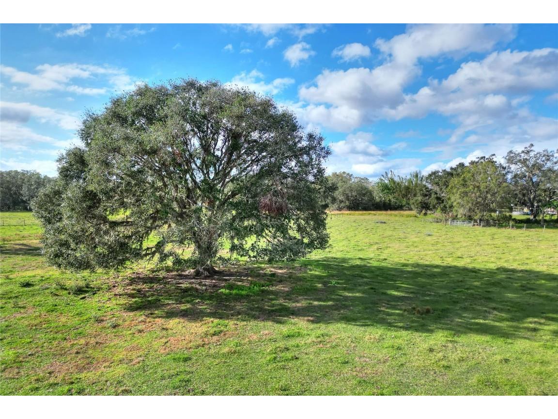 0 Corbett Rd Lithia FL 33547 TB8335626 image1