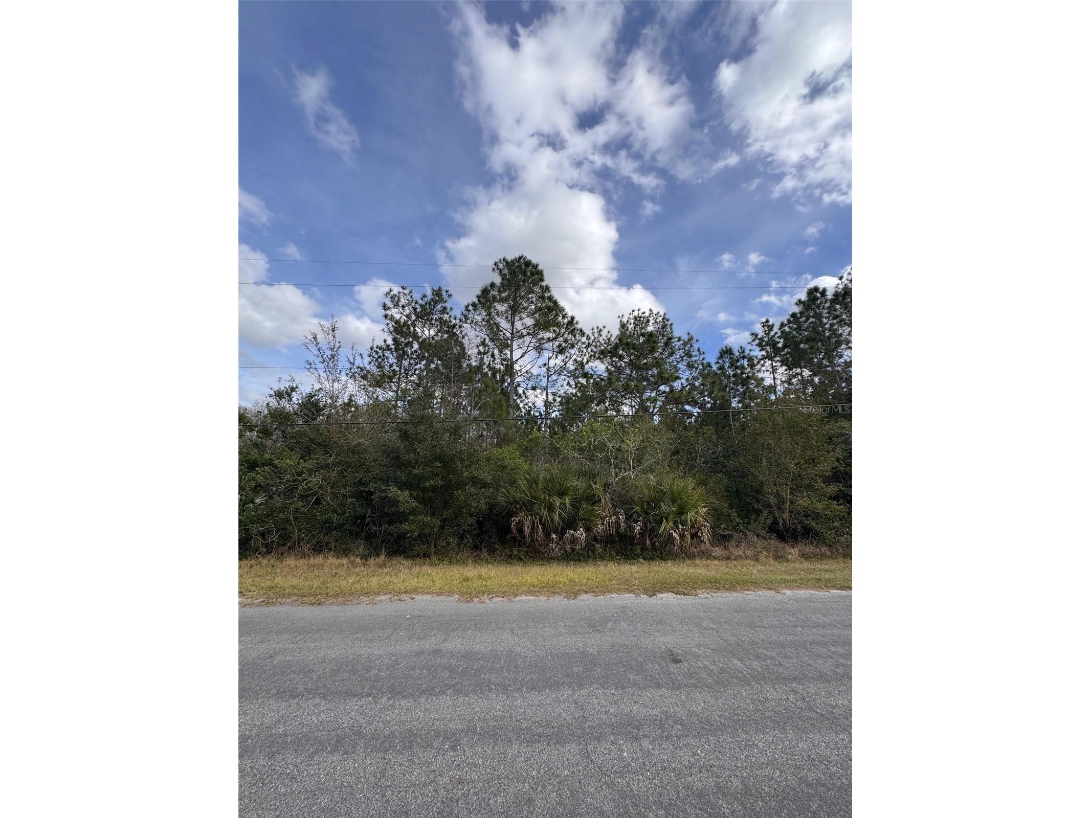 0 Coronet Avenue Orlando FL 32833 O6373013 image2