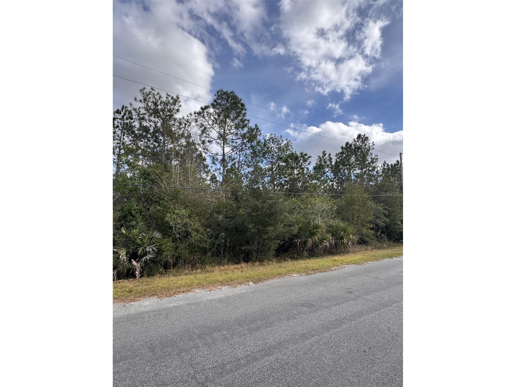 0 Coronet Avenue Orlando FL 32833 O6373013 image4