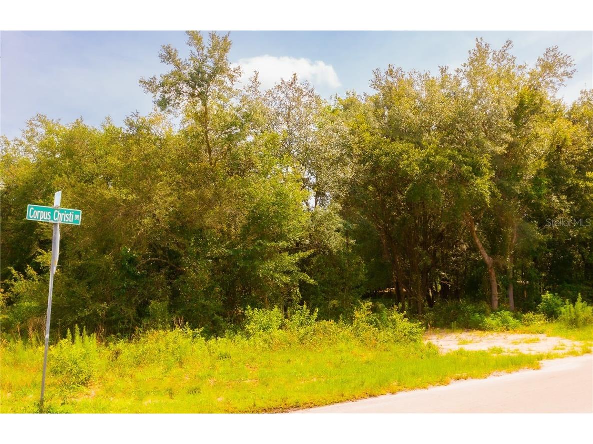 0 Corpus Christie Drive Shady Hills FL 34610 W7855924 image1
