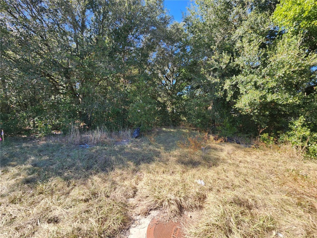 0 Cortez A Lot Boulevard Brooksville FL 34602 W7859489 image1