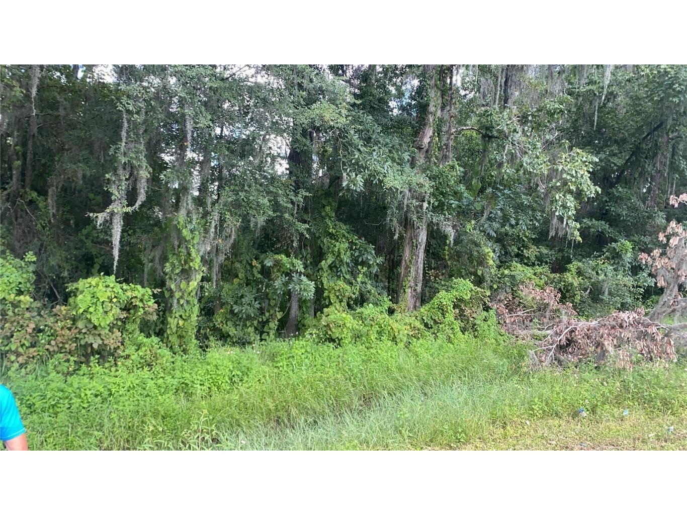 0 Cortez Boulevard Brooksville FL 34601 TB8425168 image12