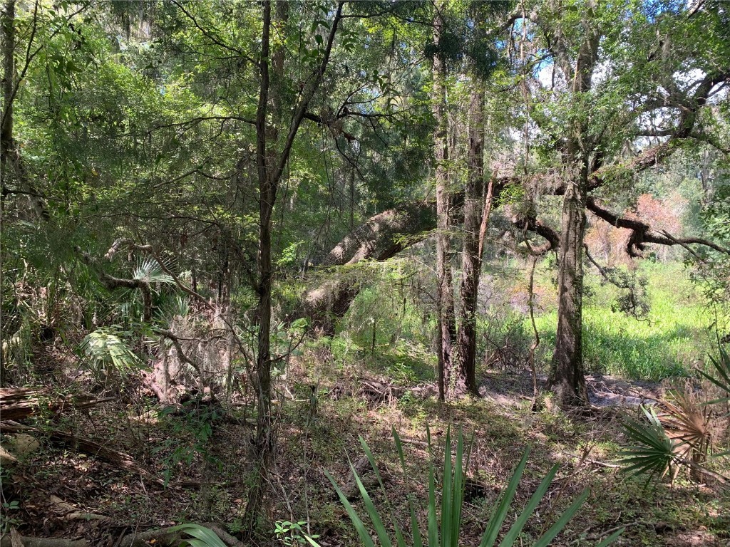 0 Cortez Boulevard Brooksville FL 34601 TB8425168 image4