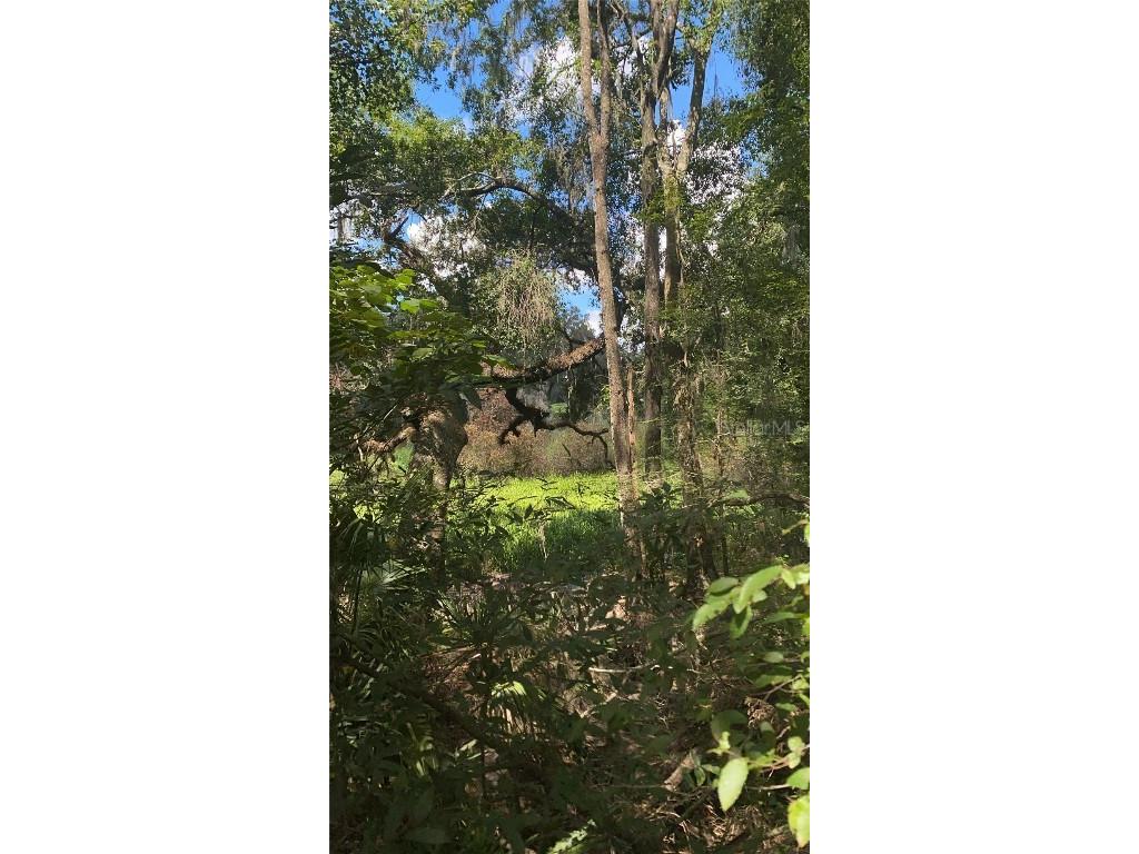 0 Cortez Boulevard Brooksville FL 34601 TB8425168 image7