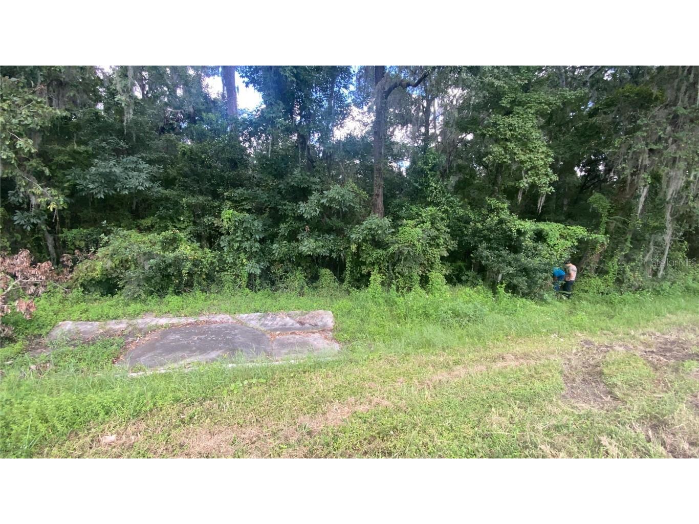 0 Cortez Boulevard Brooksville FL 34601 TB8425168 image8