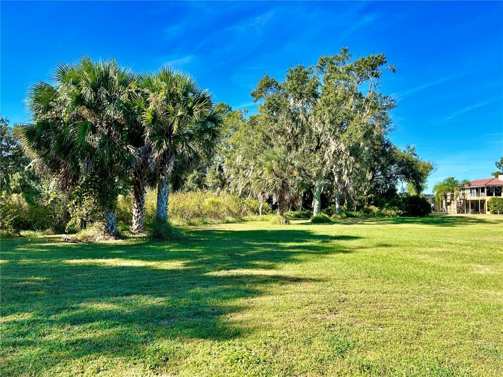 0 Country Club Lane Mulberry FL 33860 L4940642 image1