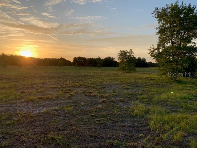 0 County Rd 478-A Webster FL 33597 OM660905 image1