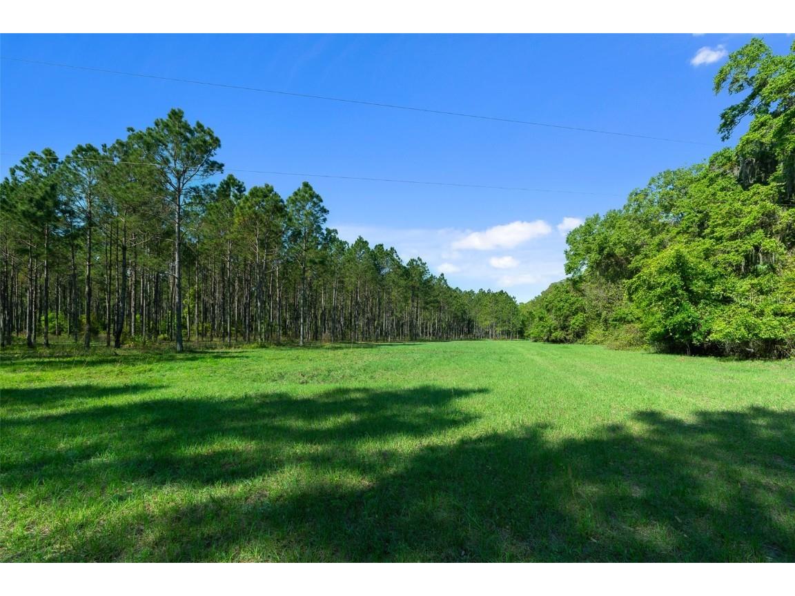 0 County Road 1469 Hawthorne FL 32640 OM674957 image1