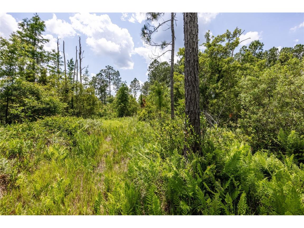 0 County Road 225 Waldo FL 32694 GC521999 image10