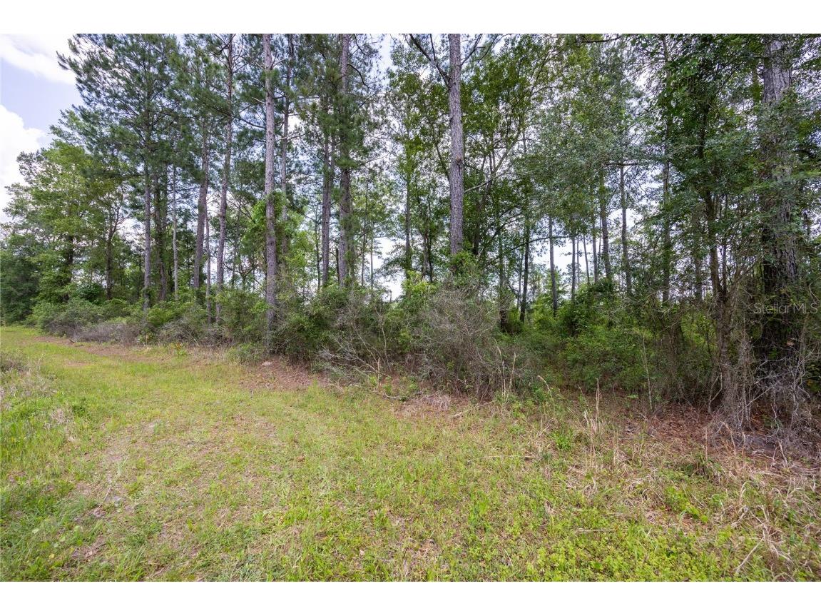 0 County Road 225 Waldo FL 32694 GC521999 image2
