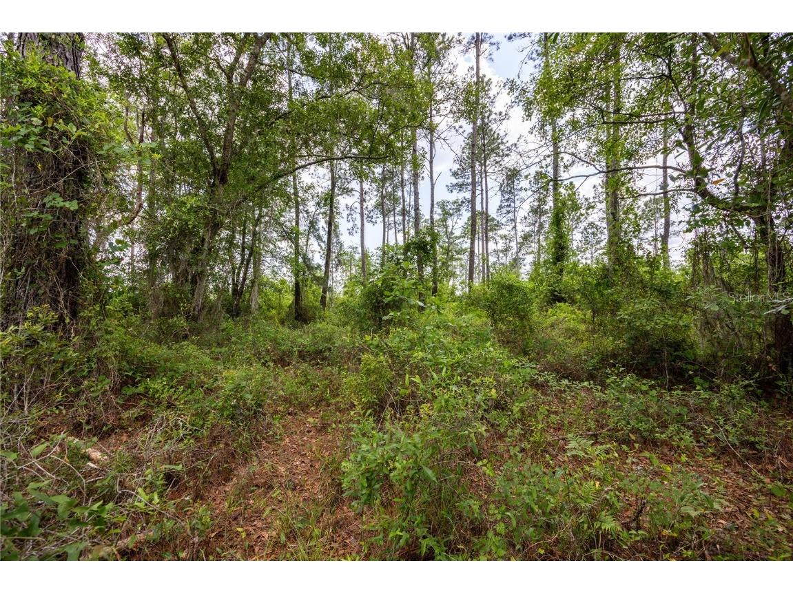 0 County Road 225 Waldo FL 32694 GC521999 image3