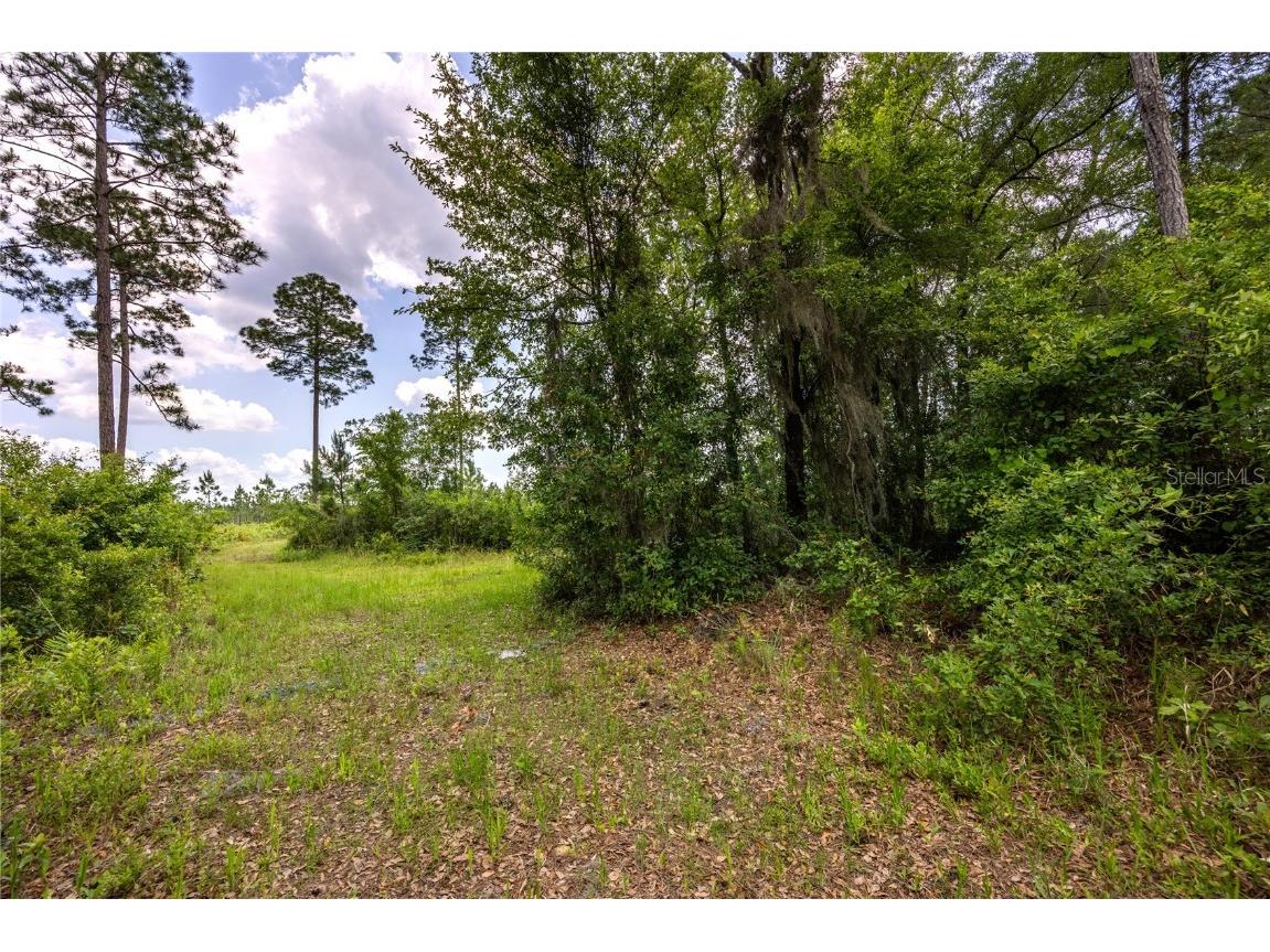 0 County Road 225 Waldo FL 32694 GC521999 image4