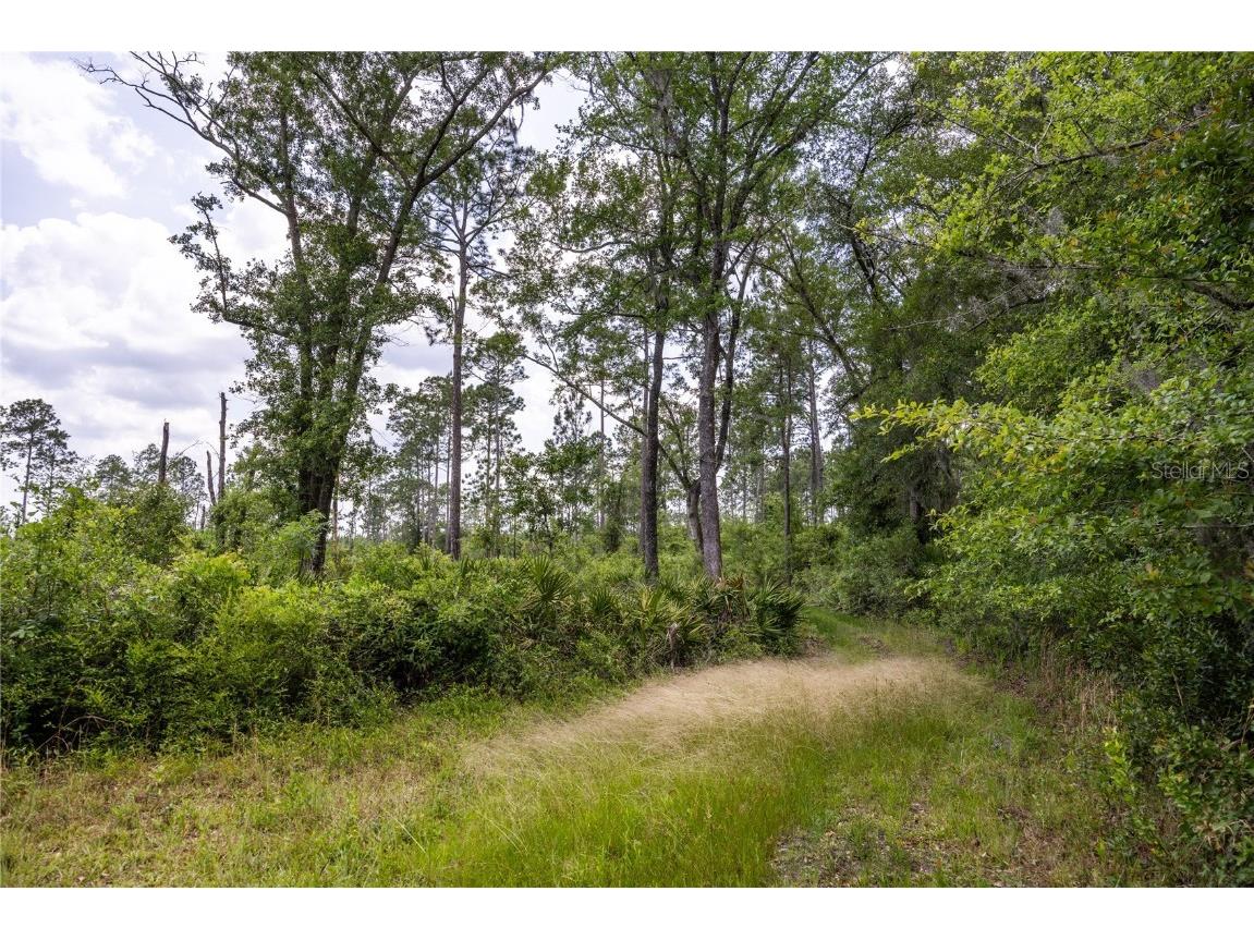 0 County Road 225 Waldo FL 32694 GC521999 image5