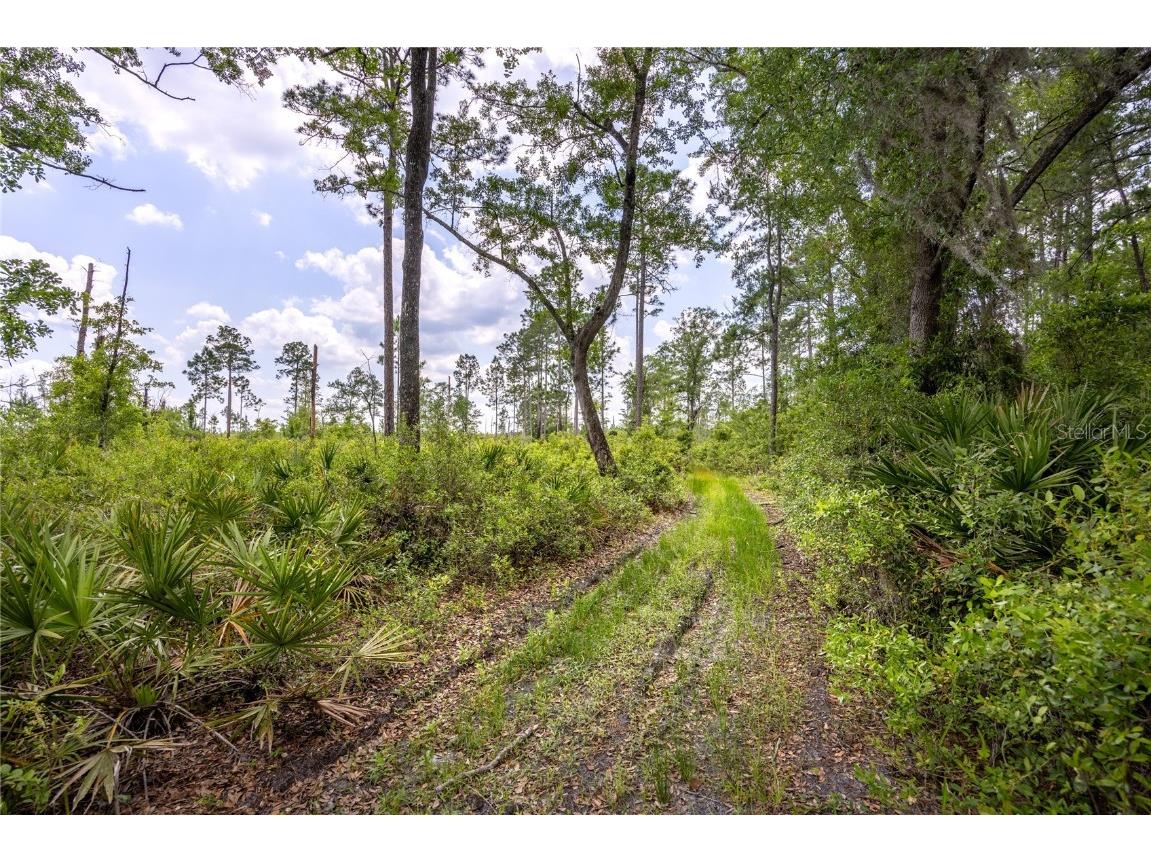 0 County Road 225 Waldo FL 32694 GC521999 image6