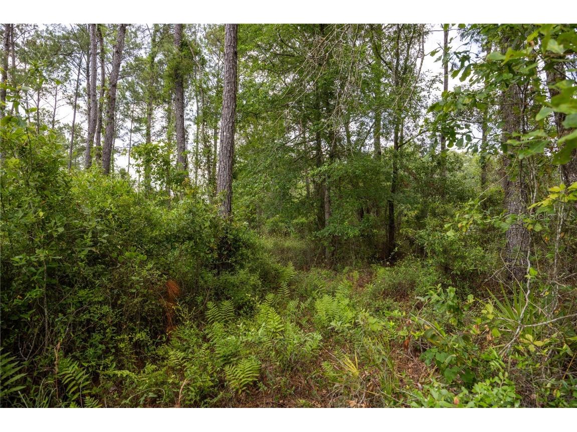 0 County Road 225 Waldo FL 32694 GC521999 image7