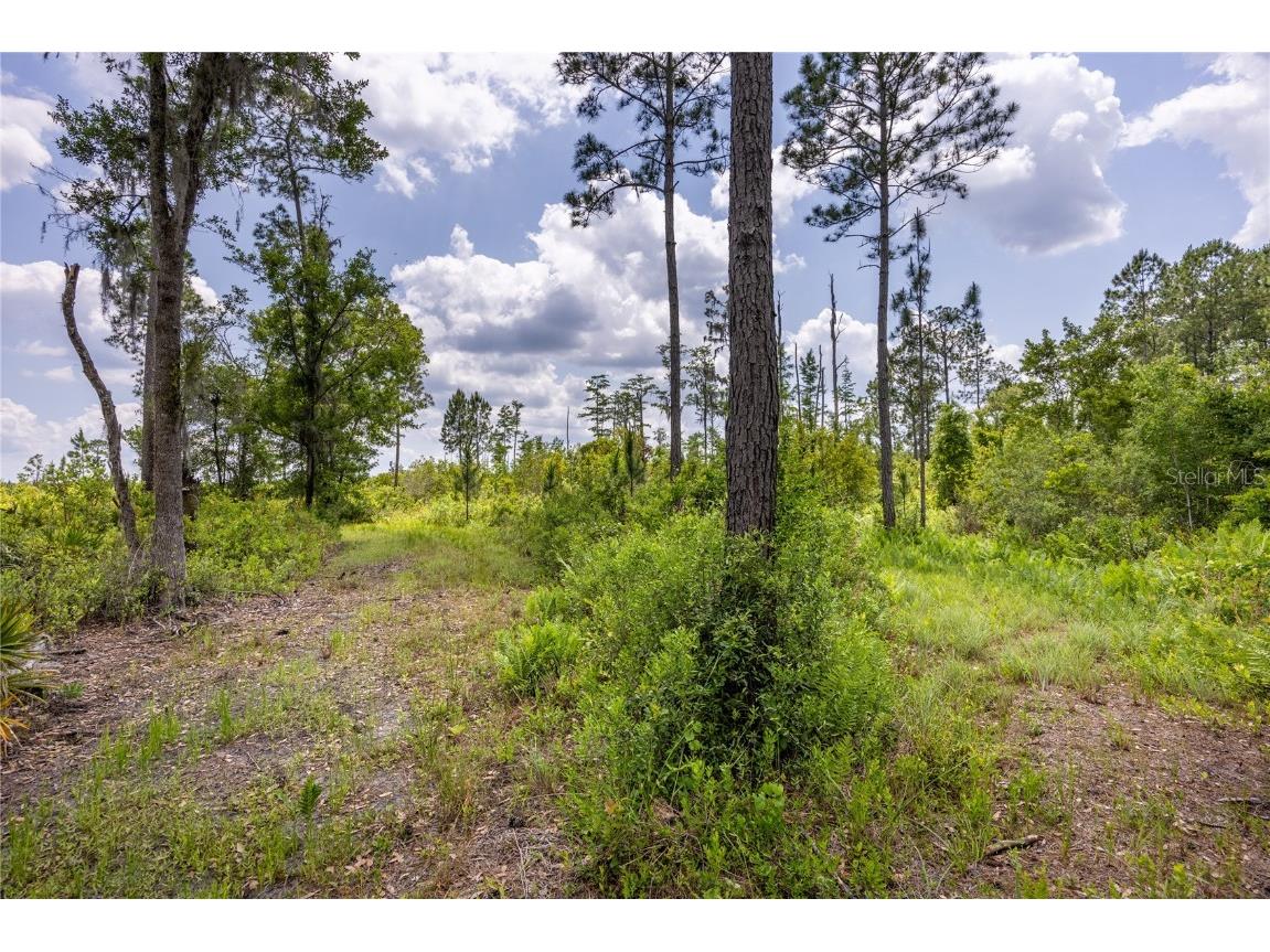 0 County Road 225 Waldo FL 32694 GC521999 image9