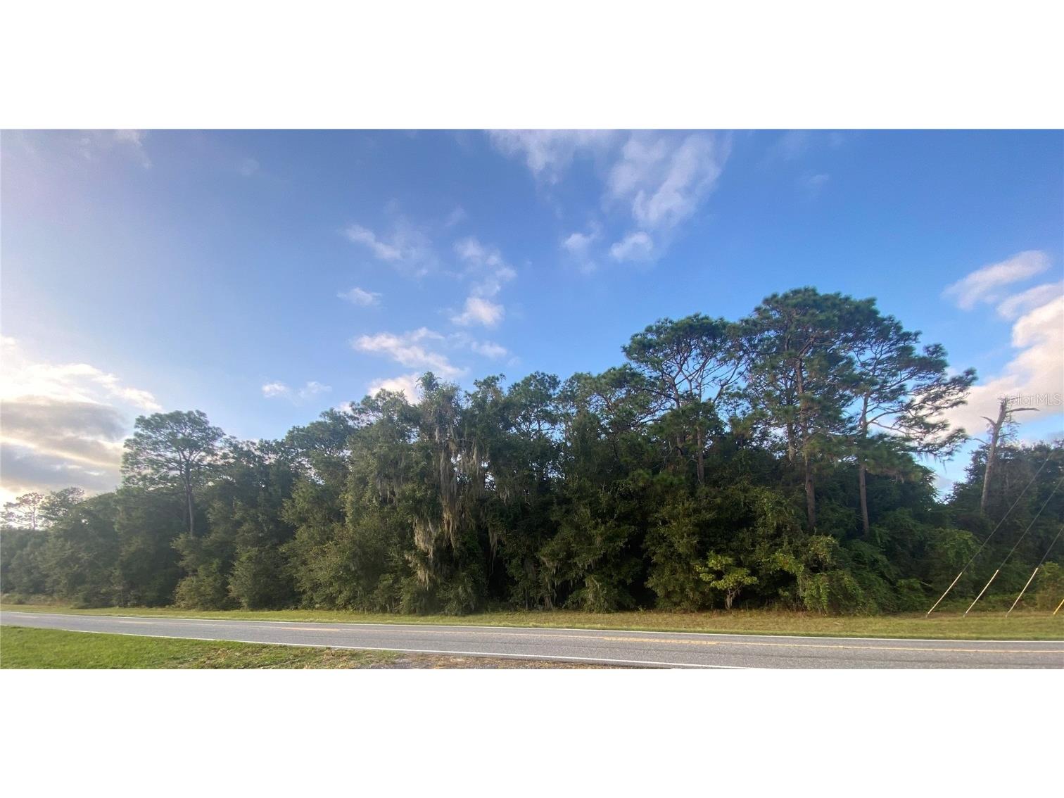 0 County Road 466 Oxford FL 34484 G5103859 image3