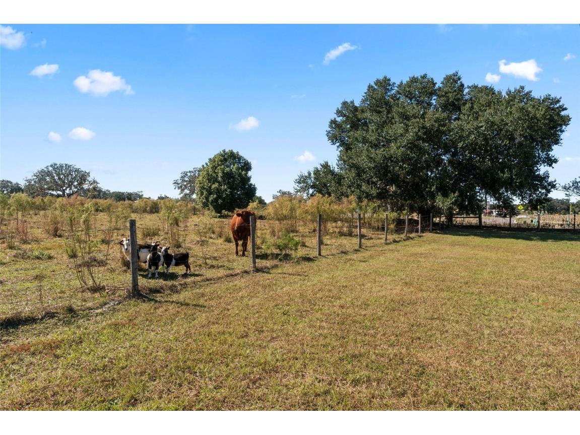 0 County Road 52 San Antonio FL 33576 T3357862 image4