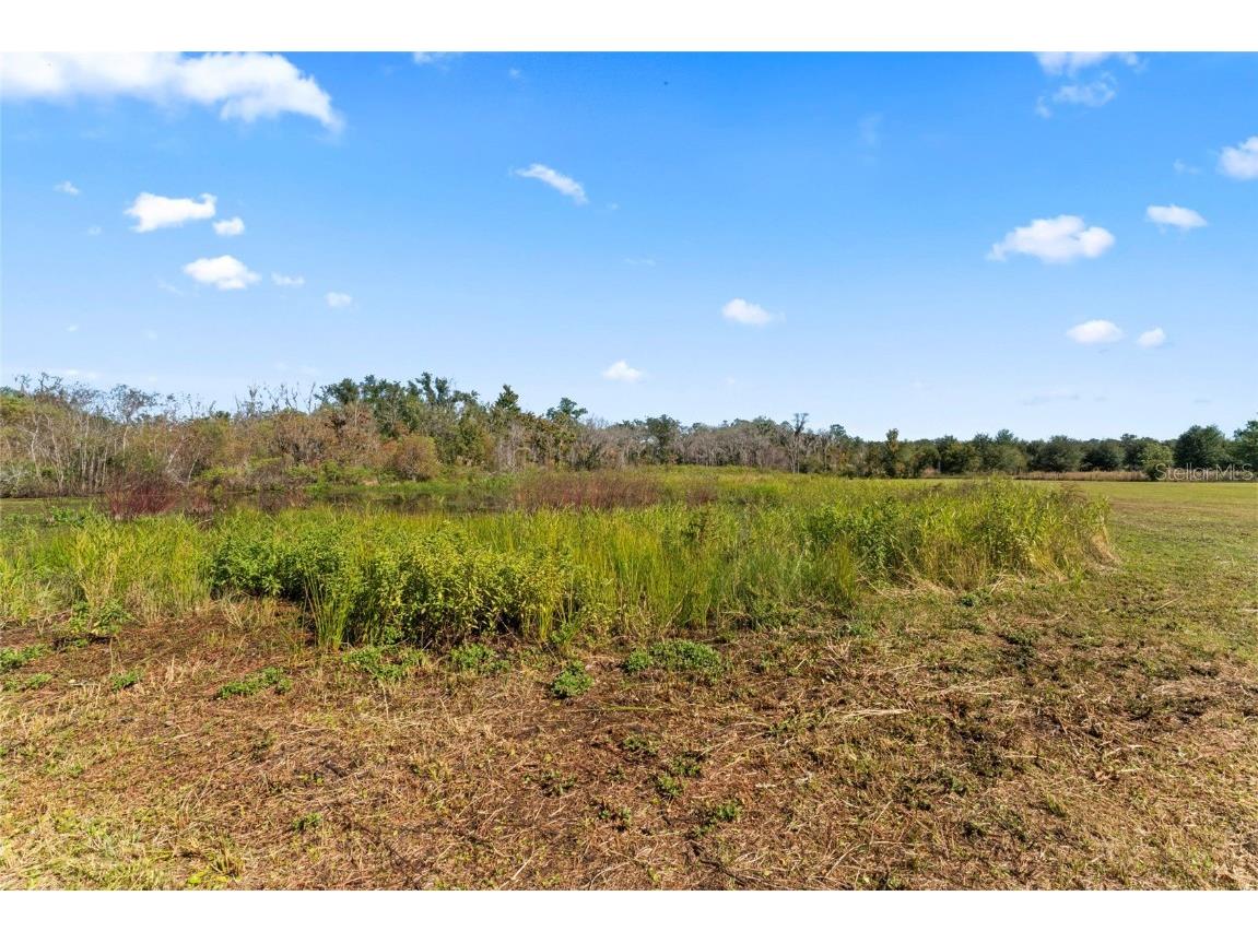 0 County Road 52 San Antonio FL 33576 T3357862 image8