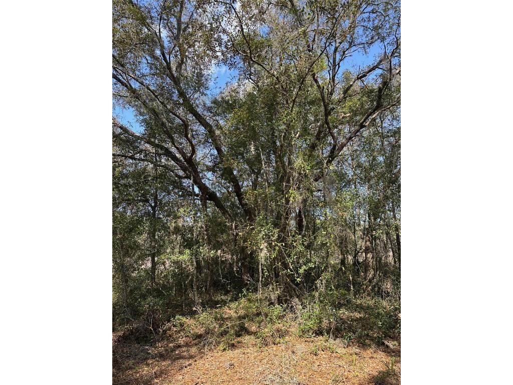 0 Courlan Road Brooksville FL 34614 W7873542 image3