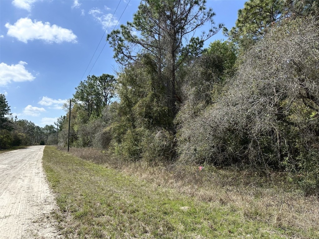 0 Courlan Road Brooksville FL 34614 W7873543 image1