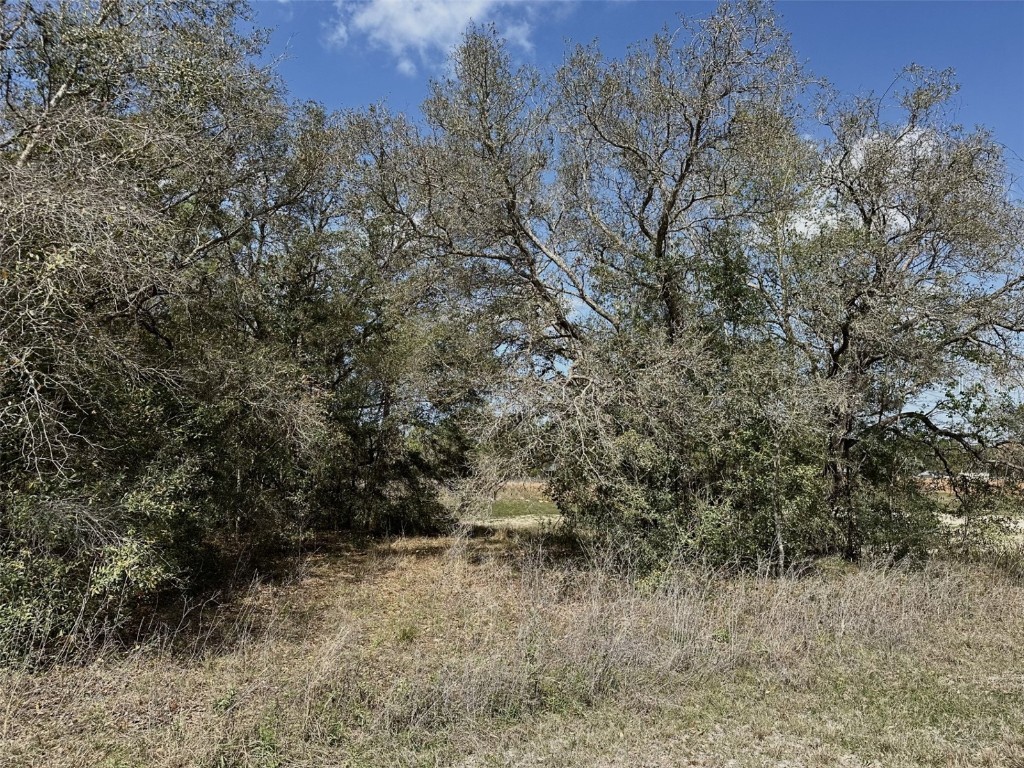 0 Courlan Road Brooksville FL 34614 W7873543 image2
