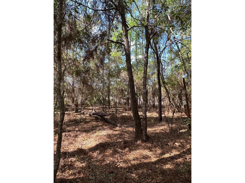 0 Courlan Road Brooksville FL 34614 W7873543 image3