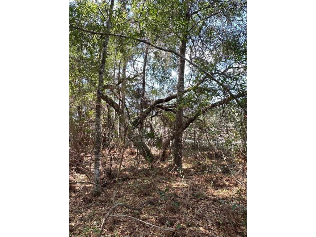 0 Courlan Road Brooksville FL 34614 W7873543 image4