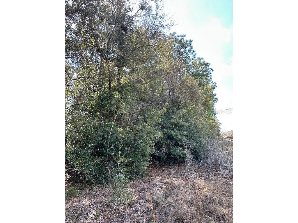 0 Courlan Road Brooksville FL 34614 W7873543 image5