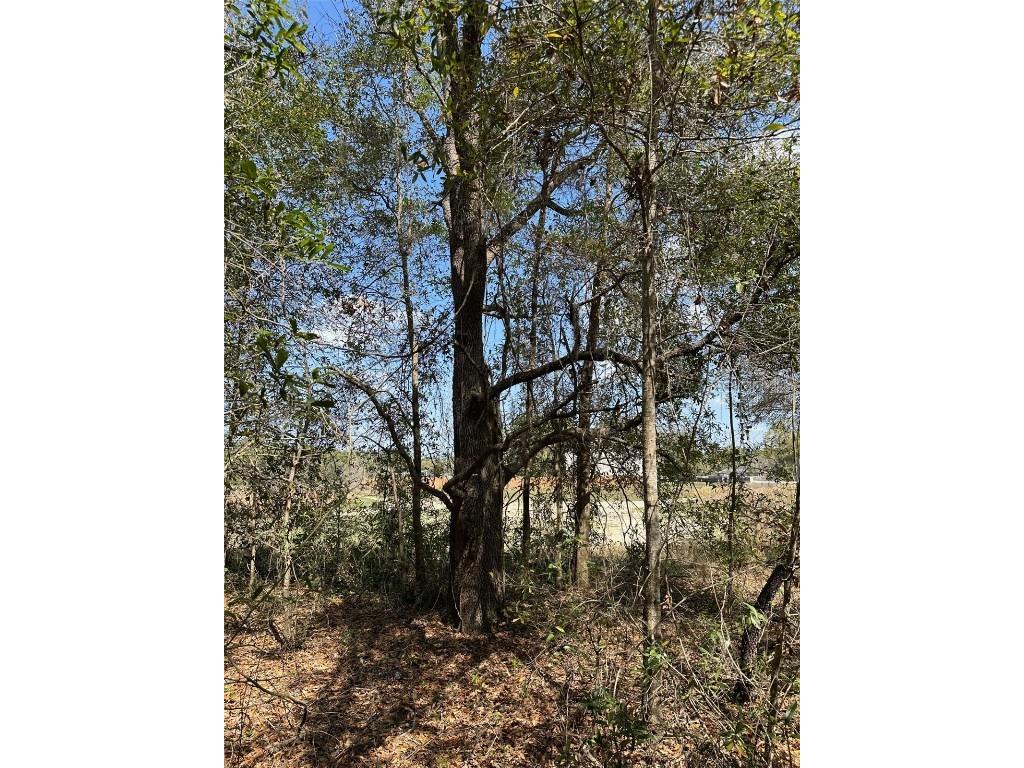 0 Courlan Road Brooksville FL 34614 W7873544 image4