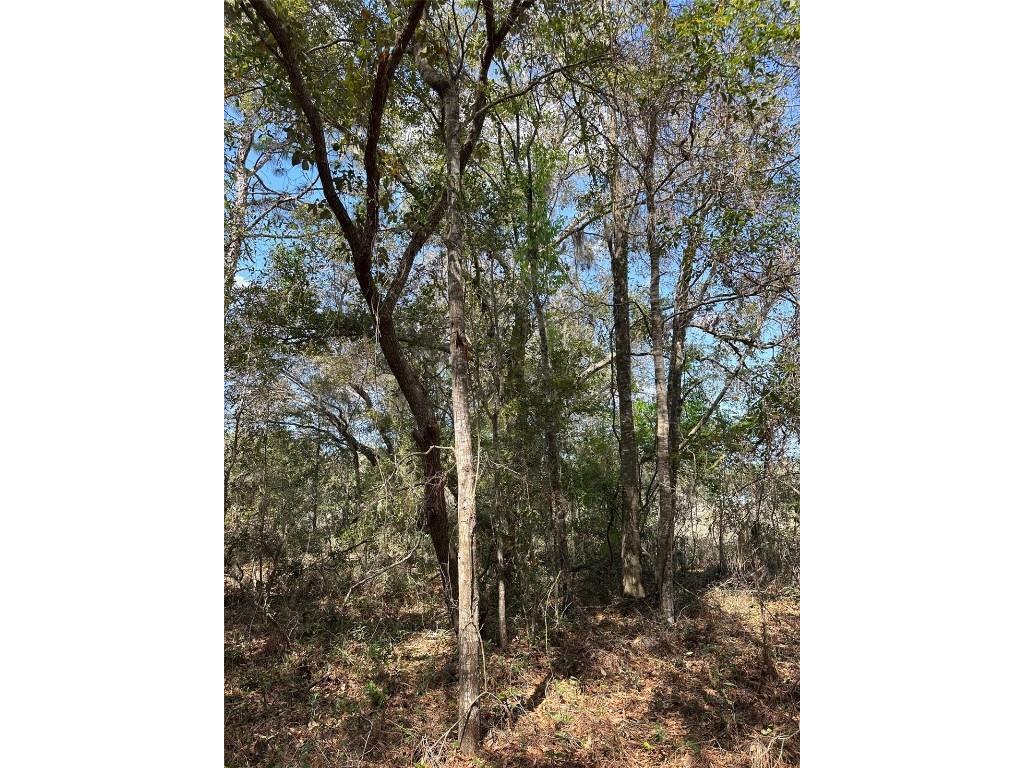 0 Courlan Road Brooksville FL 34614 W7873544 image5