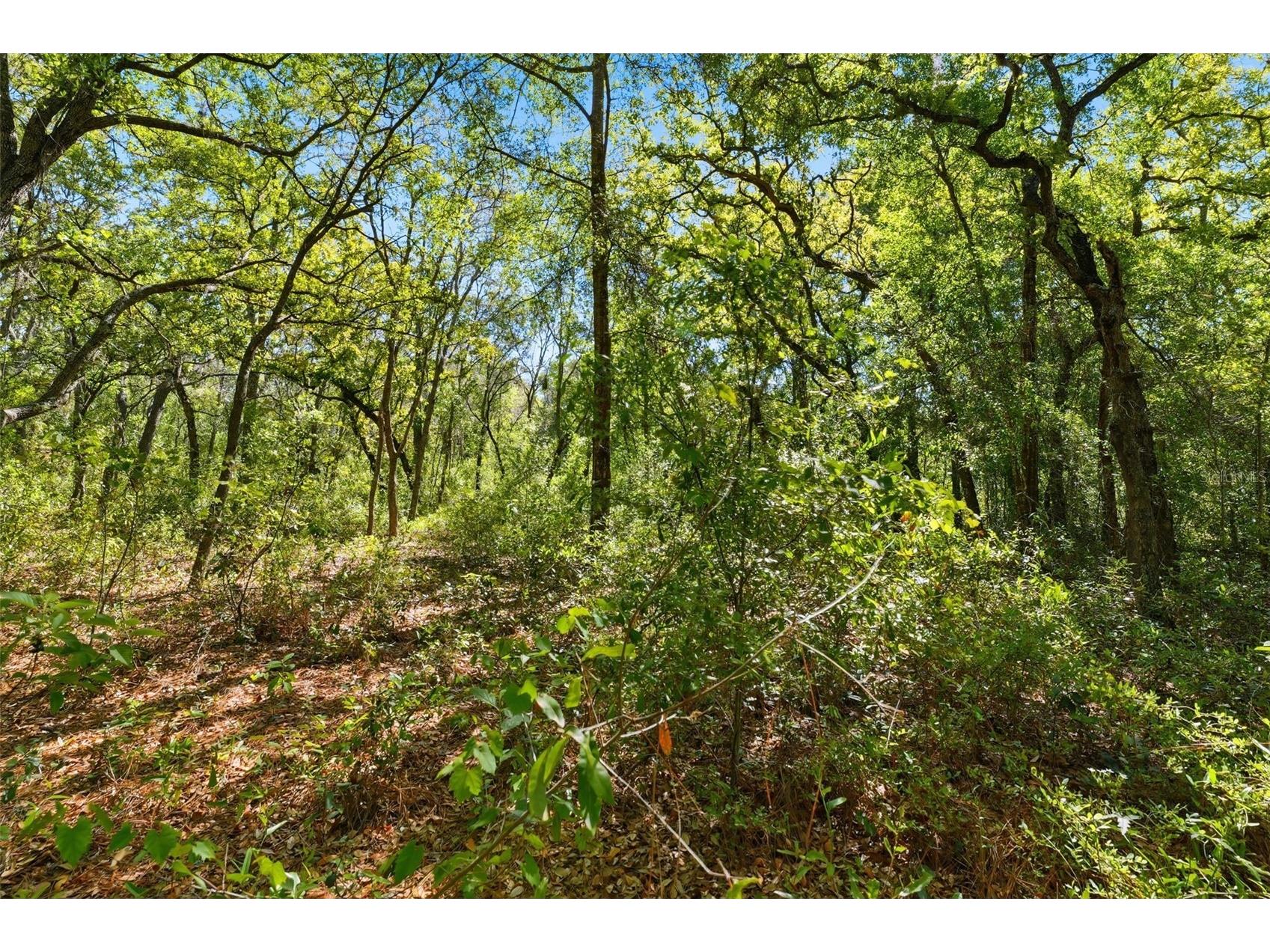 0 Coyote Road Hudson FL 34669 W7884972 image10
