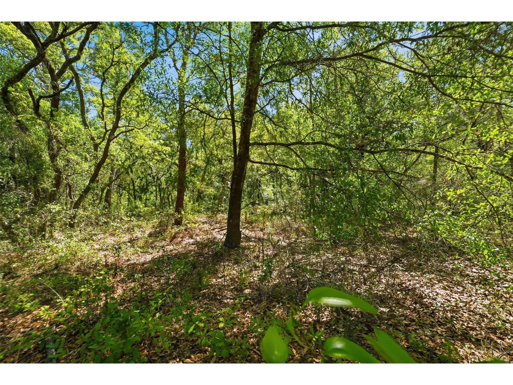 0 Coyote Road Hudson FL 34669 W7884972 image11