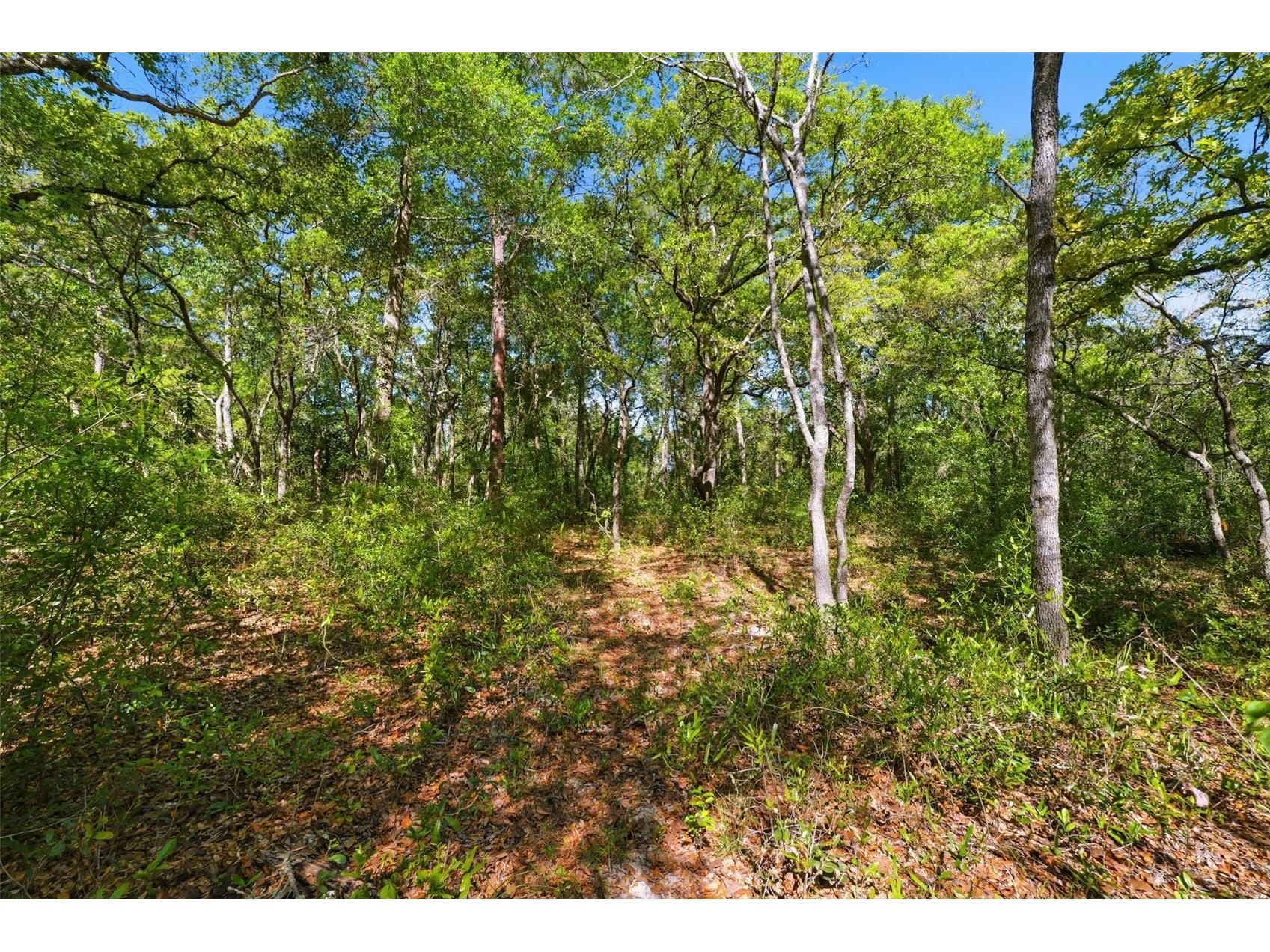 0 Coyote Road Hudson FL 34669 W7884972 image12