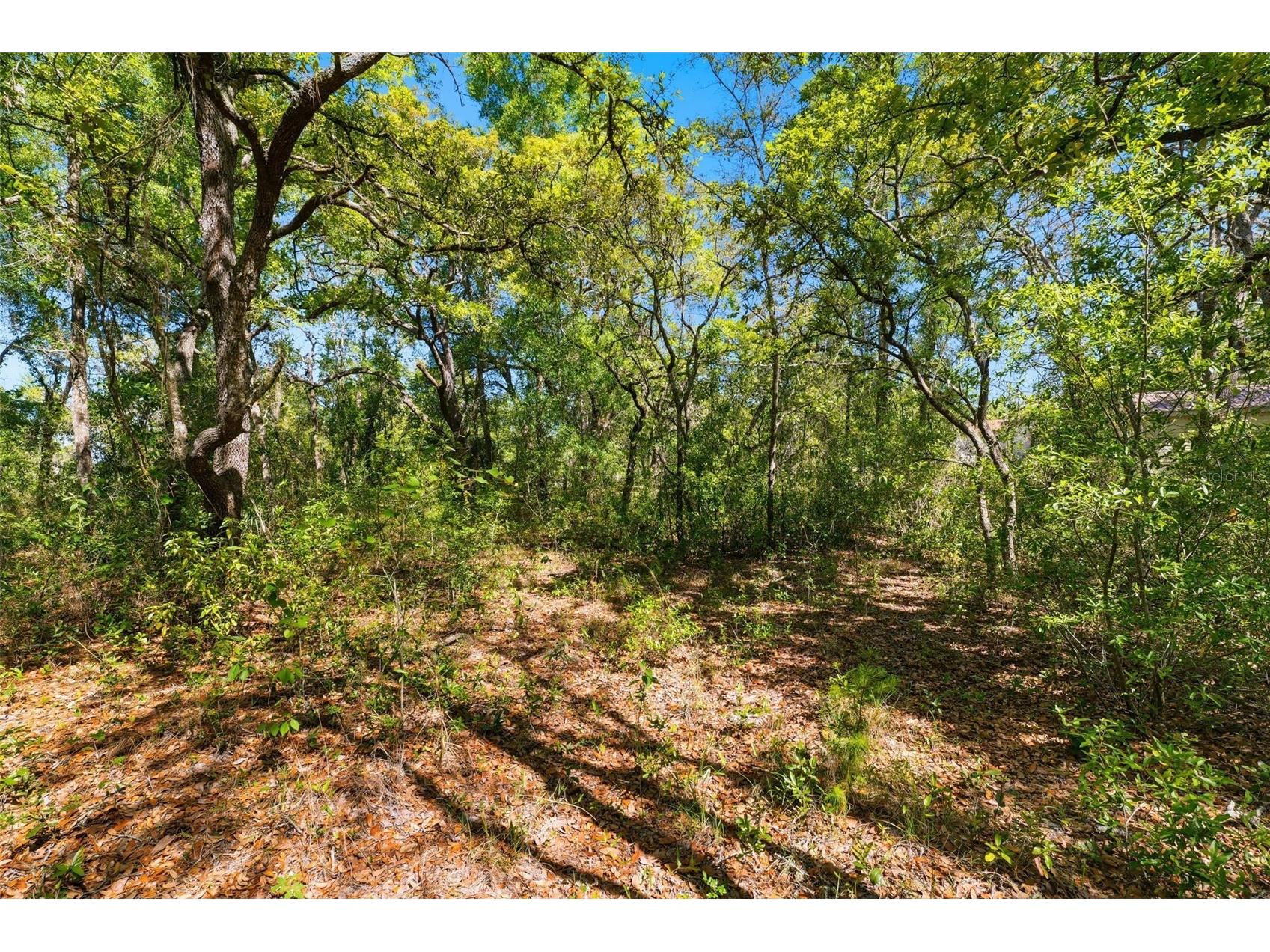 0 Coyote Road Hudson FL 34669 W7884972 image13