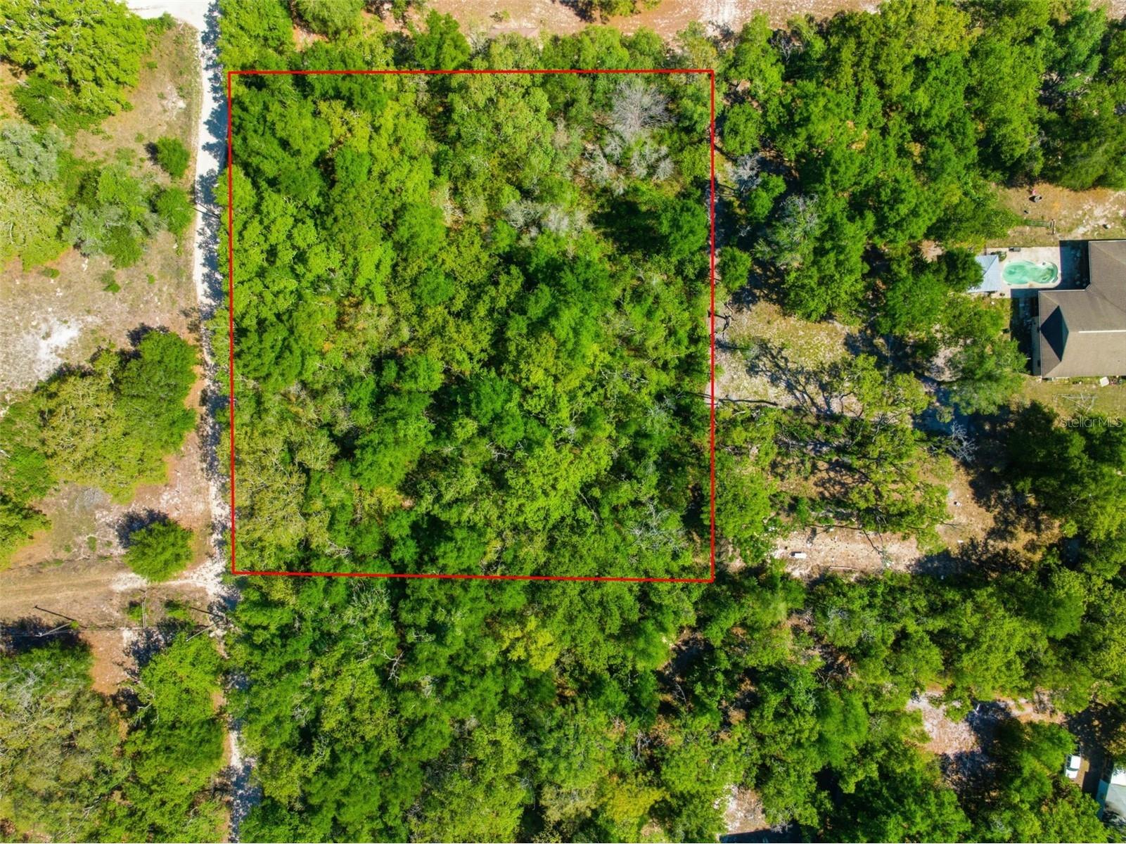 0 Coyote Road Hudson FL 34669 W7884972 image3