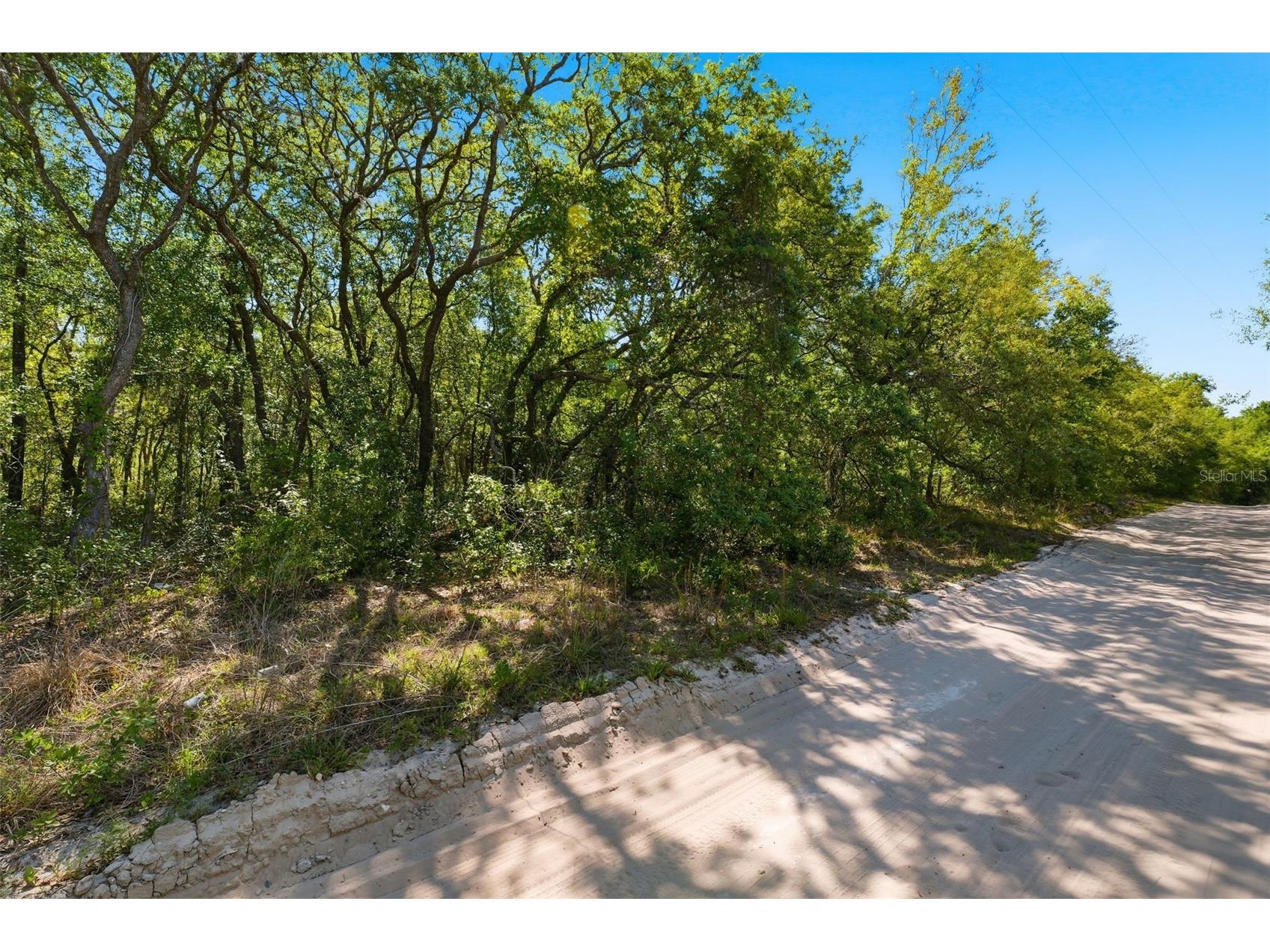 0 Coyote Road Hudson FL 34669 W7884972 image6