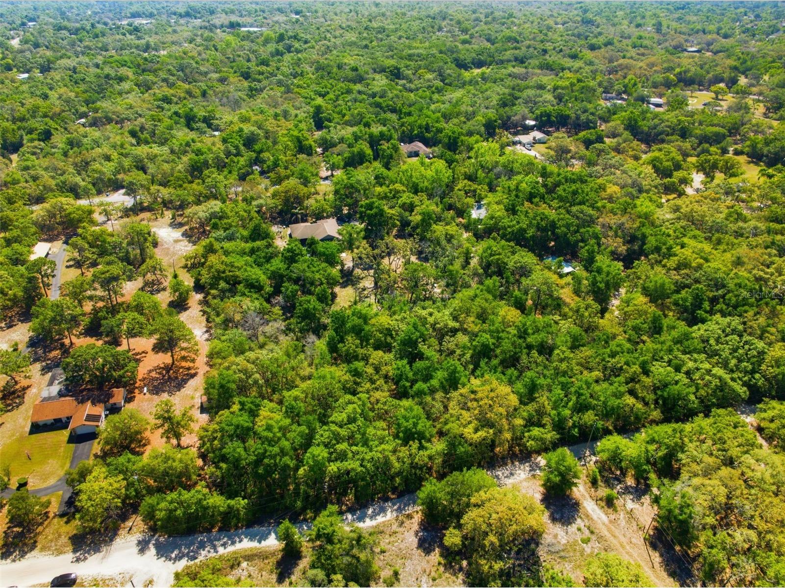 0 Coyote Road Hudson FL 34669 W7884972 image8