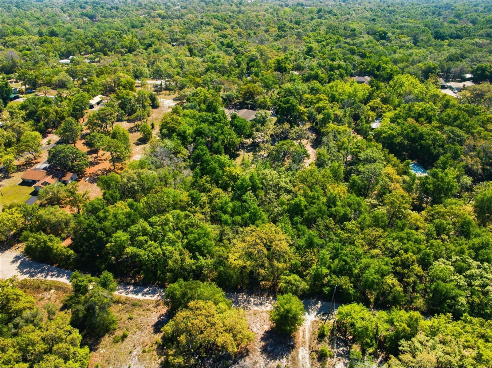 0 Coyote Road Hudson FL 34669 W7884972 image9
