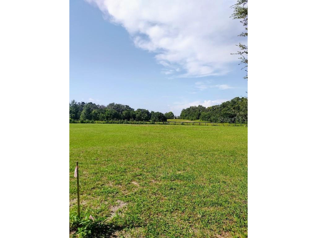 0 Cr 110 Oxford FL 34484 OM661868 image1